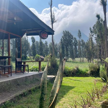 Gangga Guest House Bromo Ngadisari Buitenkant foto